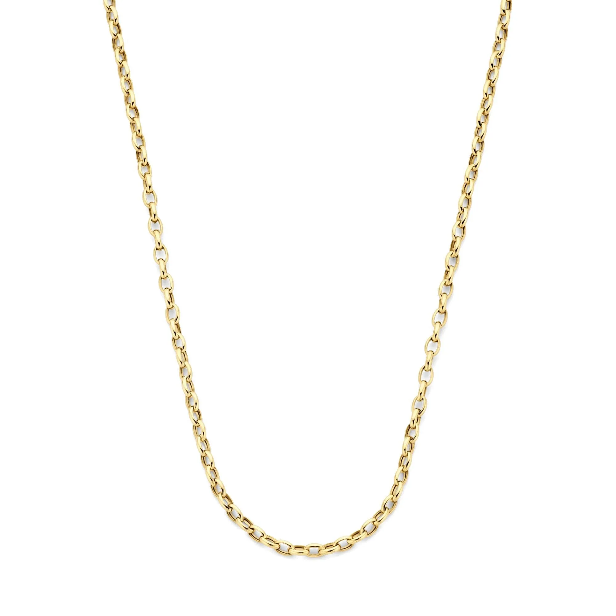 Aidee Camille 14 karat gold link necklace