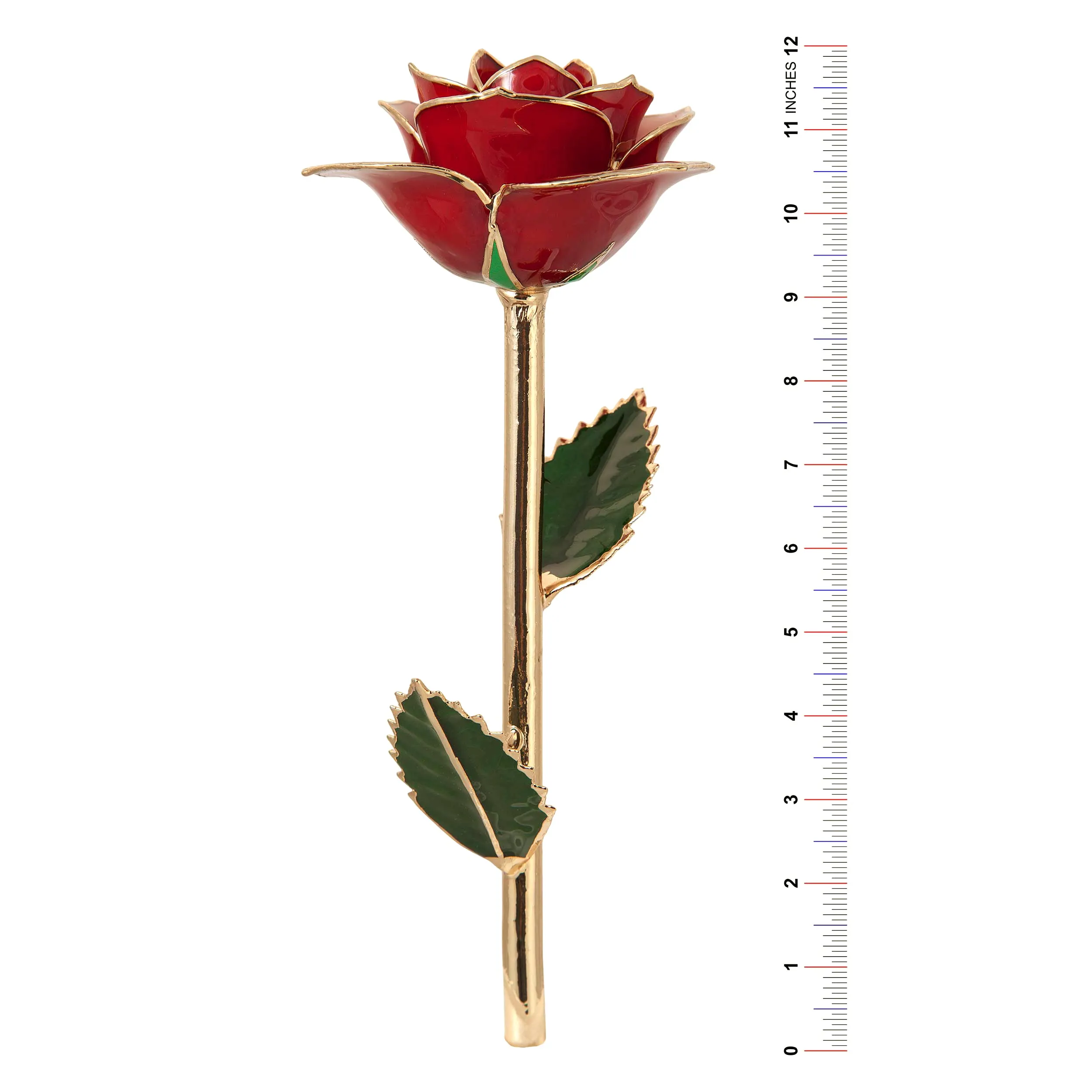 American Glory 24k Gold Dipped Rose