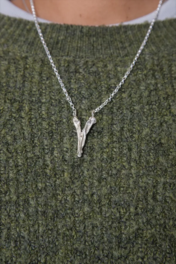 Lizard Bone Necklace